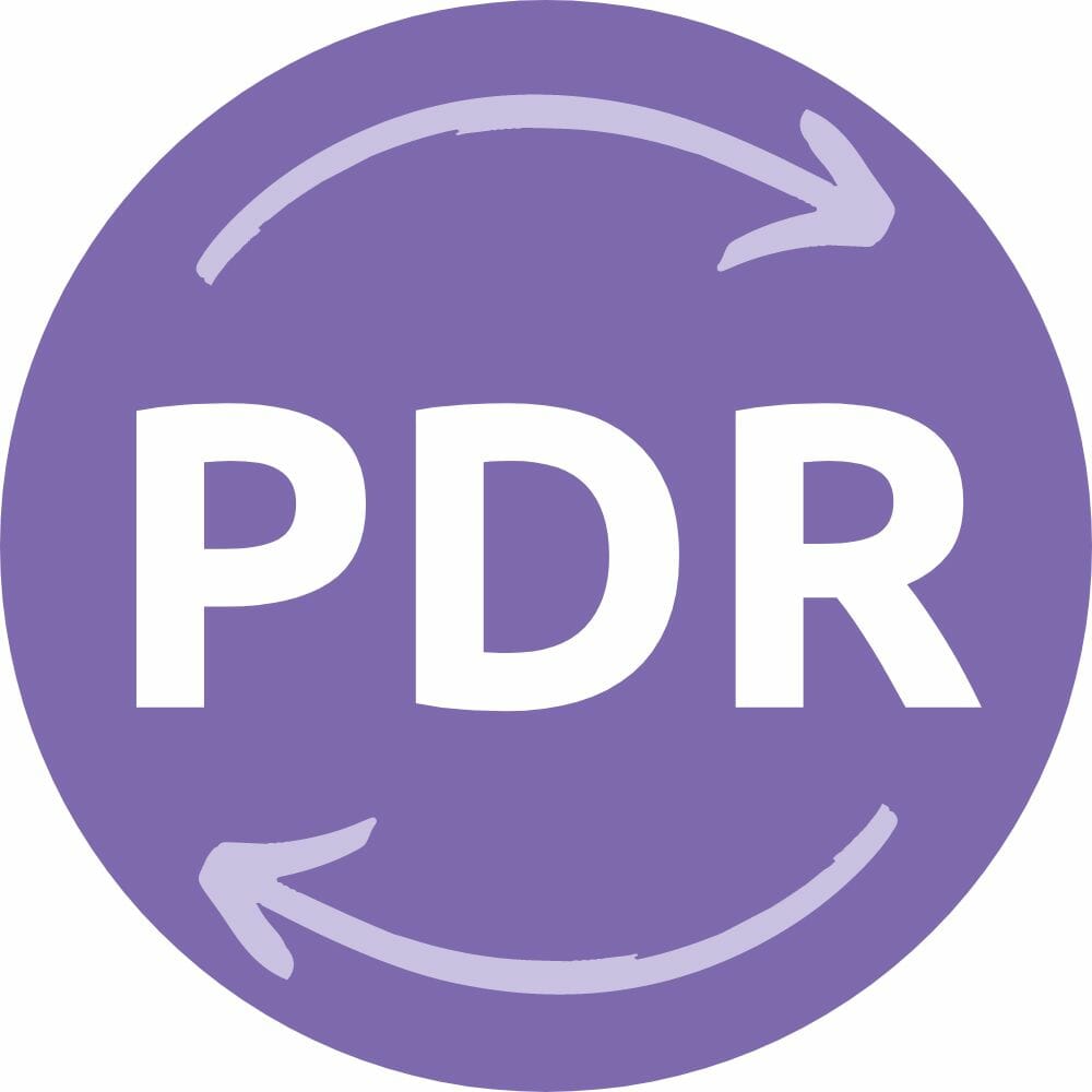 Partei der Rentner